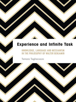 cover image of Experience and Infinite Task